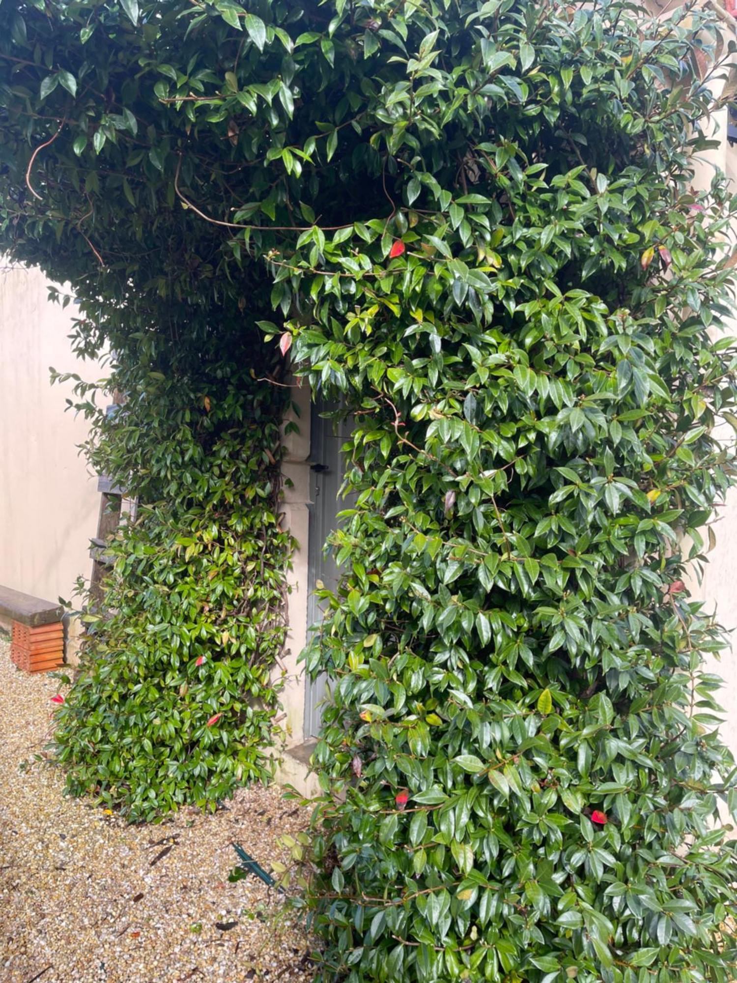 La Casa Da Pipa Villa Cesuras Exterior photo